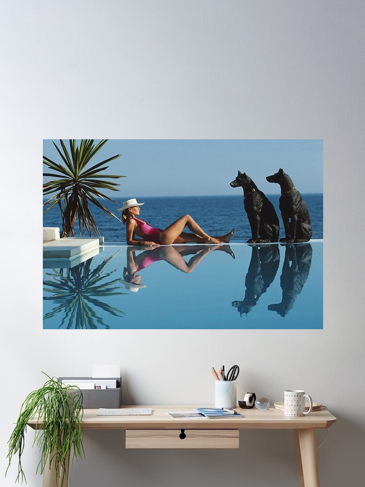 Luxury Lifestyle Homes - Retro Poolside Host Luxury Lifestyle By